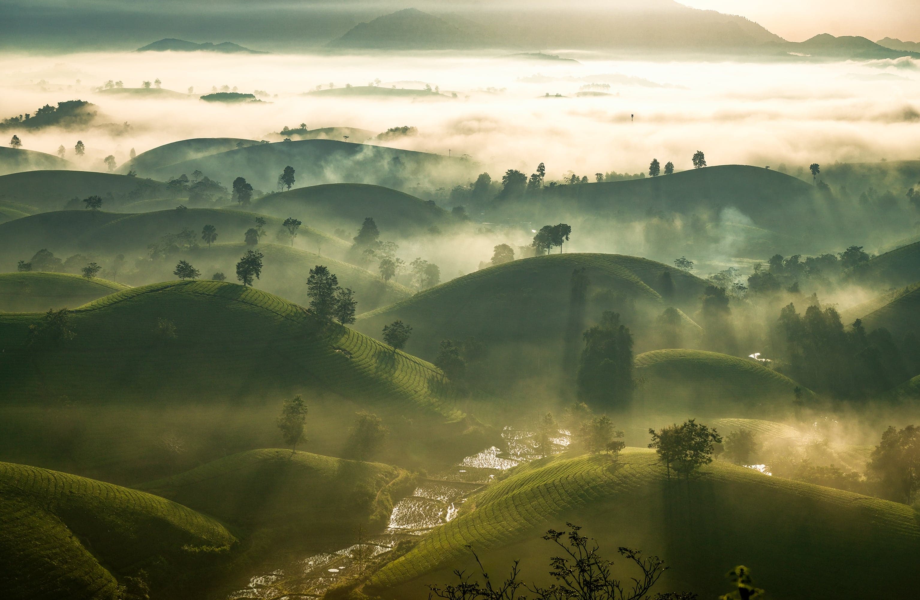 Rwanda's misty rolling hills at dawn